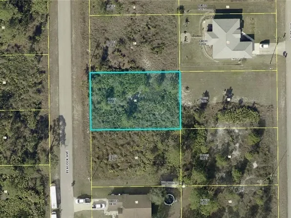 725 Peacock Ave, Lehigh Acres, FL 33974