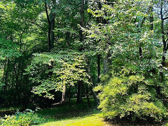 3rd image of 708 Dogwood Cir