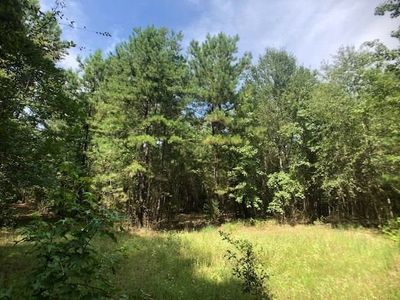 Tbd Walkers Mill Rd, Hallsville, TX, 75650