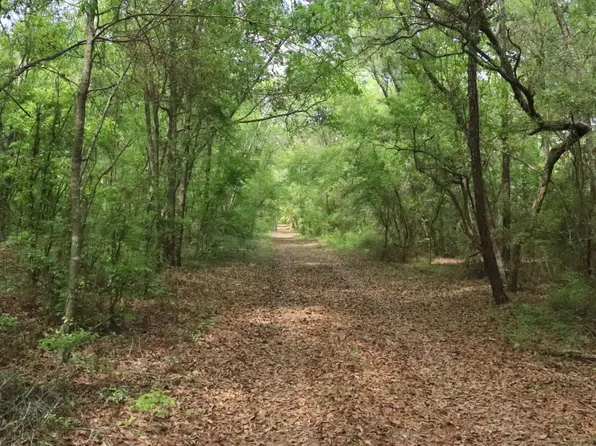 SE Myrtis Rd, Lake City, FL 32025