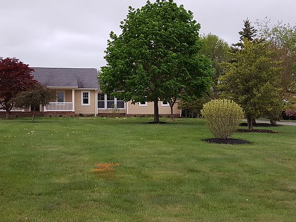 5th image of 146 Bakerfield Dr