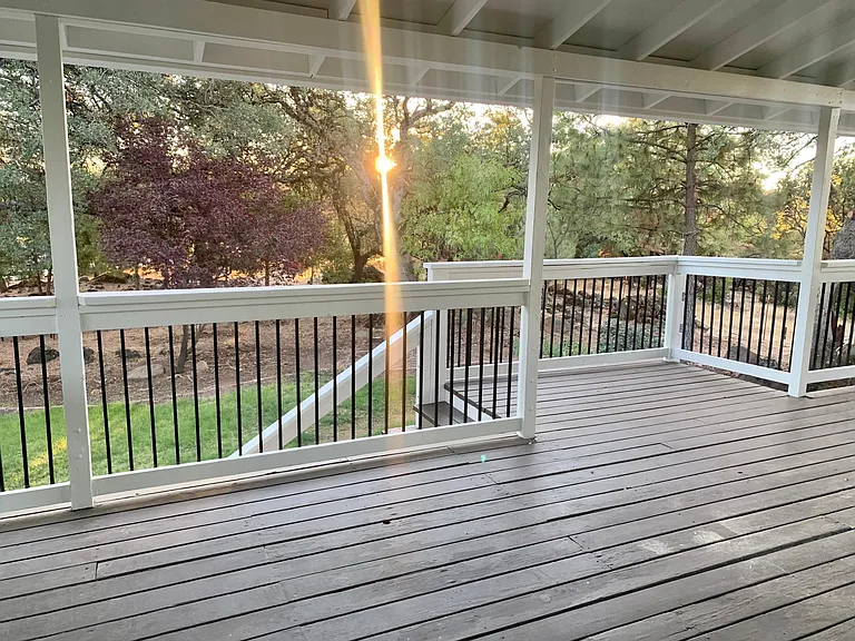 16838 Lively Wood Ln — Photo 3