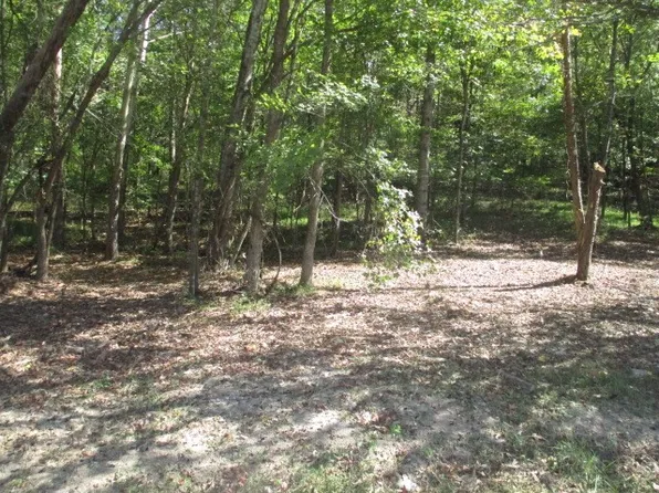 0 Reese Rd, Bethpage, TN 37022