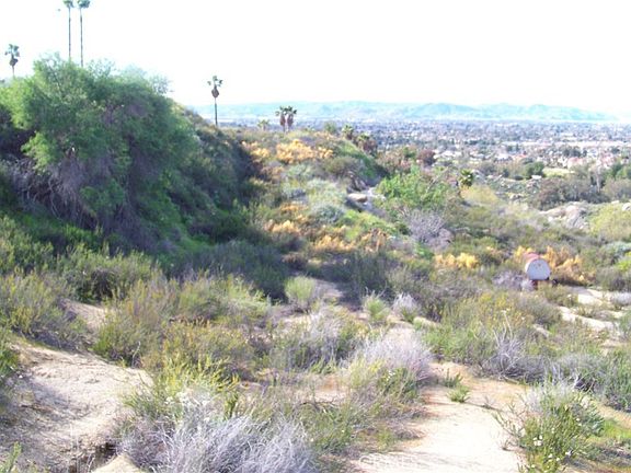 4th image of 42540 Brix Rd #12