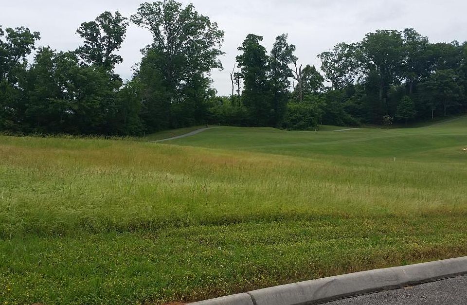 1st image of 256 White Hawk Dr