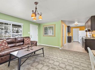293 Mountain View Dr, Idaho Springs, CO 80452