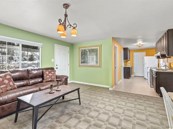 293 Mountain View Drive, Idaho Springs, CO 80452