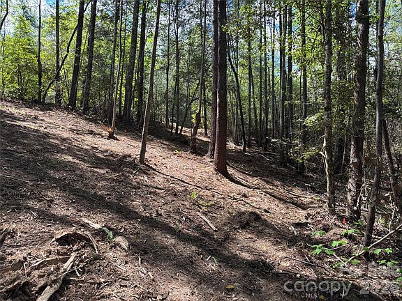 4th image of 1665 Round Mountain Pkwy #69