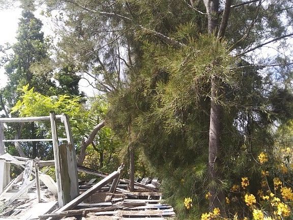 4th image of 92-8678 Reef Pkwy Lot 25
