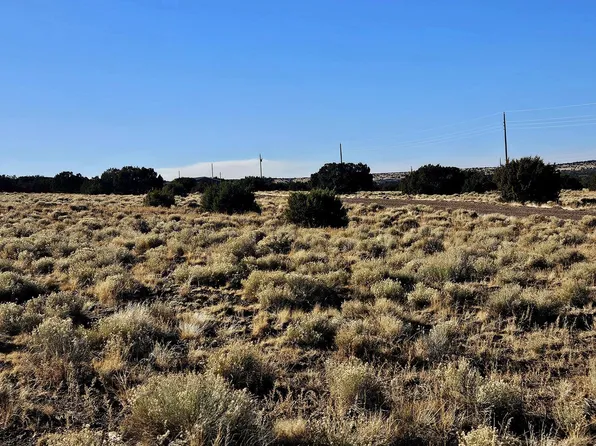 133 Circle Dr, Concho, AZ 85924