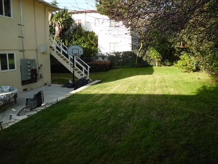 Backyard