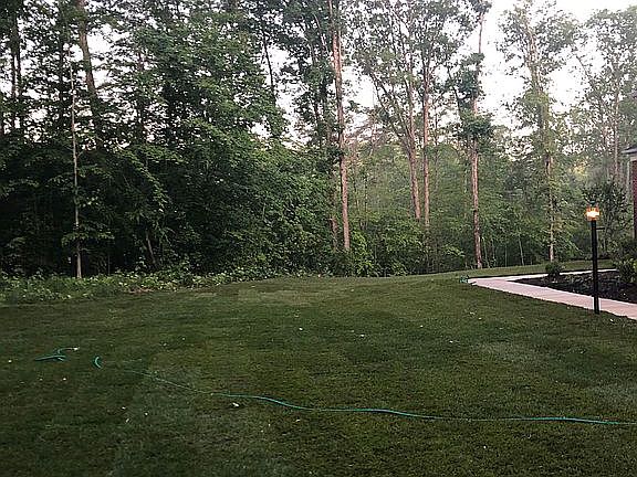4th image of 112 Sweet William Dr