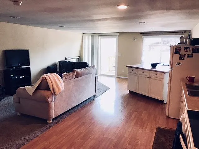Living room / Kitchen Area
