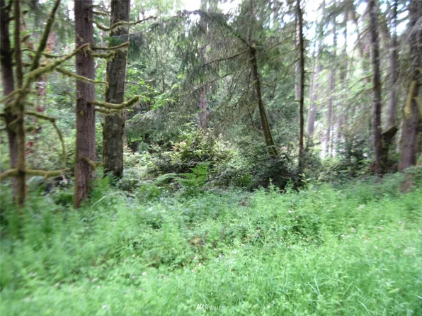 11515 Breaker Way, Anderson Island, WA 98303