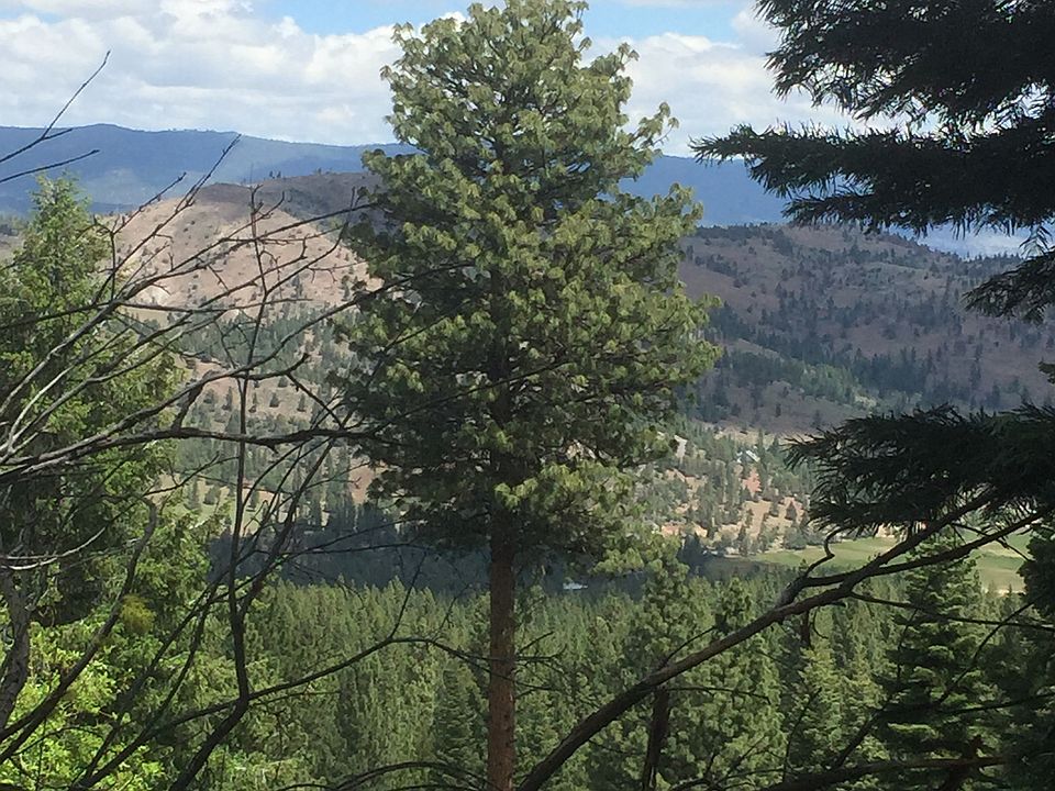 View from south boundary 