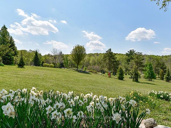 2nd image of 17218 Innis Lake Rd