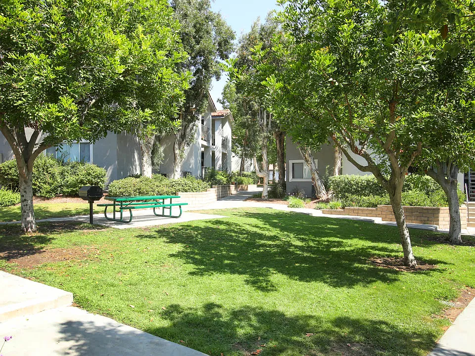 Grilling Area