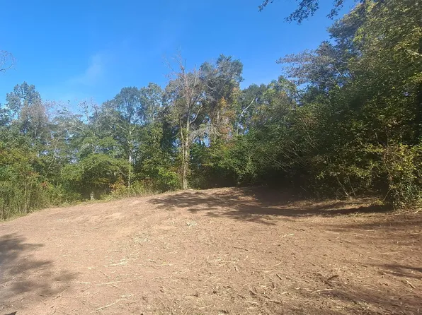 0.30 McCoy St, Guntersville, AL 35976