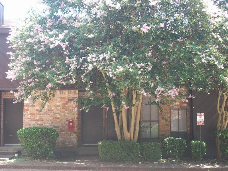 Highland Townhomes — Photo 4