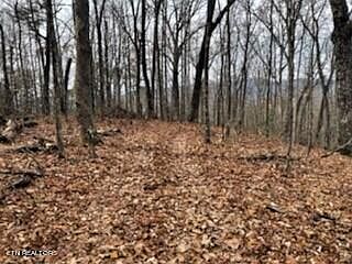 2nd image of Township Road 4 Pulaski Ln #4