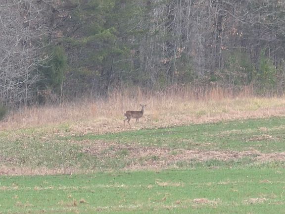 2nd image of 0 Blanchard Rd #1