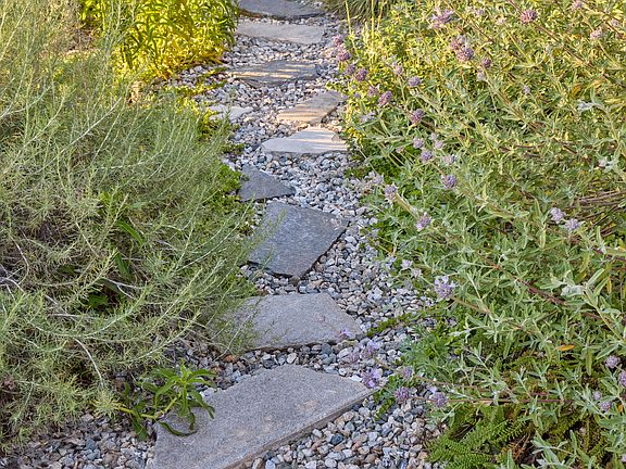 Front path into house with native landscaping