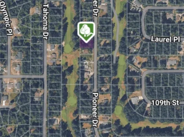 10702 Pioneer Drive, Anderson Island, WA 98303