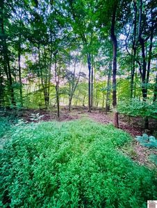 0 Trillium Way, Cadiz, KY, 42211