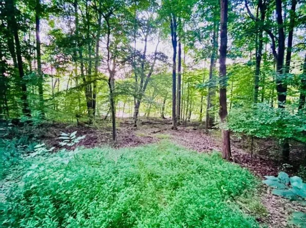 0 Trillium Way, Cadiz, KY 42211