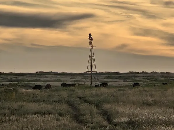 5344 Red Lake Rd, Fort Sumner, NM 88119