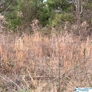 1508 Culpepper Ave NE, Fort Payne, AL, 35967