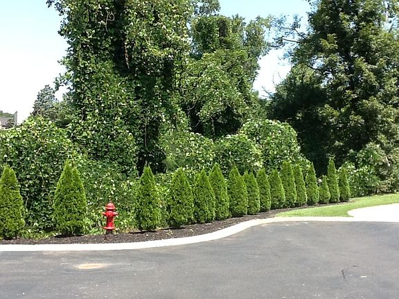 5th image of 5119 Rocky Branch Way