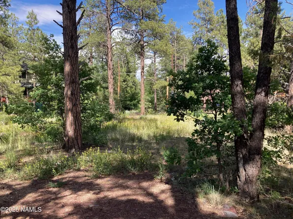17375 Crystal Brook Pl, Munds Park, AZ 86017