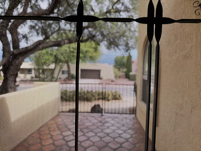 30 W Calle Escudilla — Photo 6