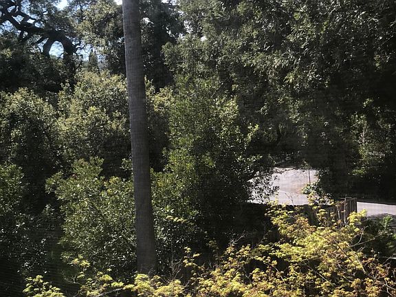 View from the living room overlooking the neighbors yard. Peaceful and verdant scenery.