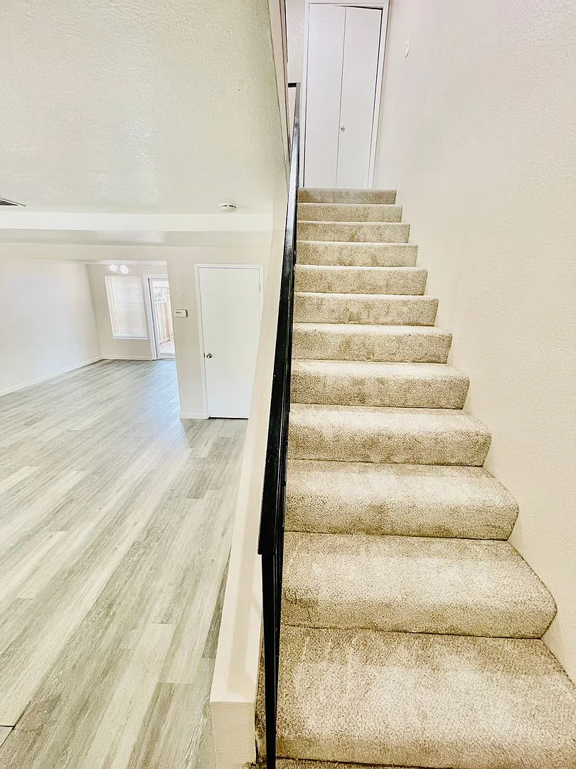 Sonata Apartments — Photo 4