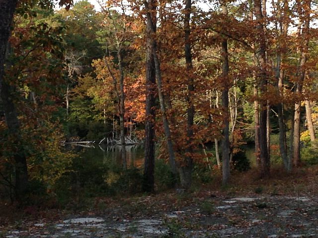 2nd image of Baypointe Ct