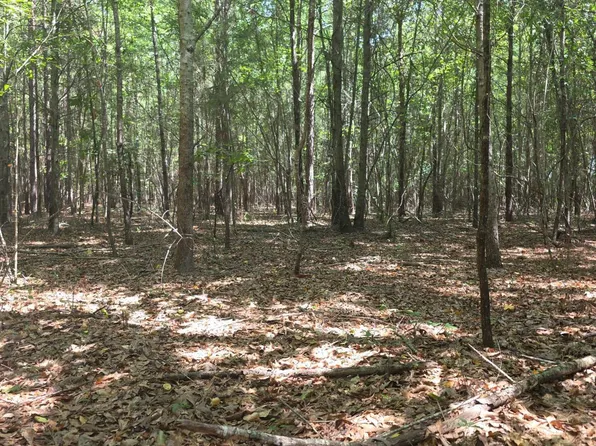 0 Tobias Rd, Sardis, GA 30456