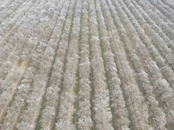 0 Apn #23, Madera, CA 93637