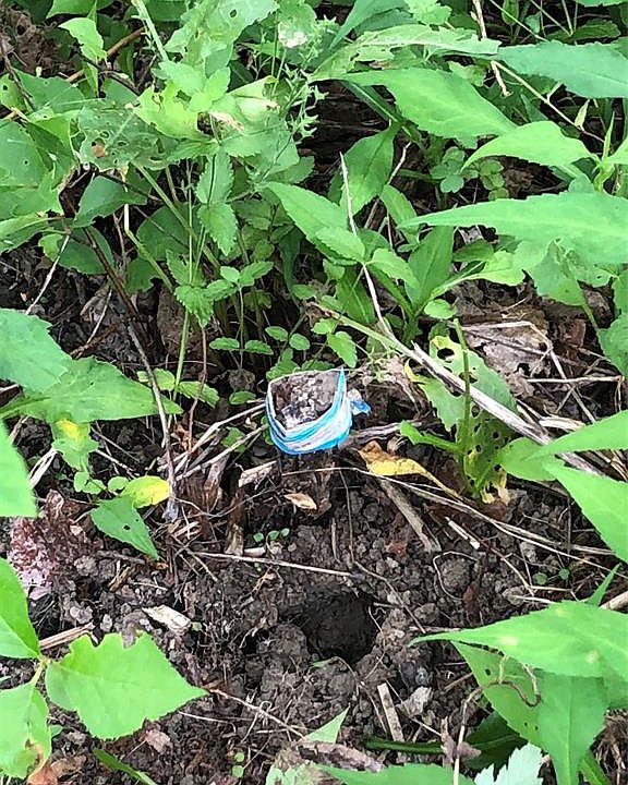 2nd image of 97 Monkey Run Rd