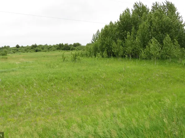 County Road 31, Roseau, MN 56751