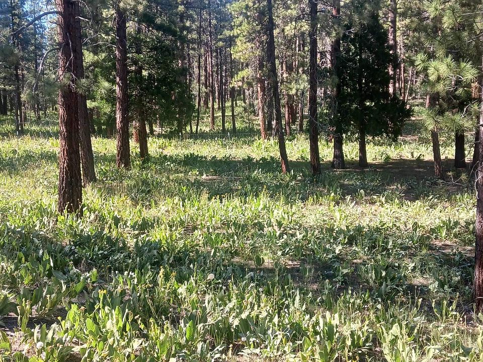 1st image of 412 Big Grizzly