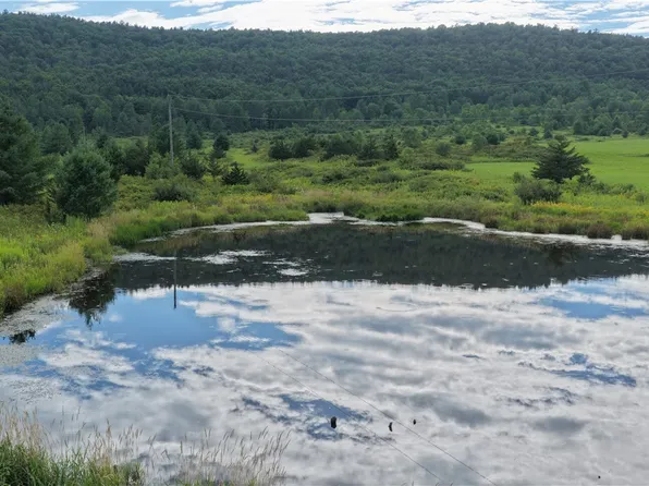 State Route 30 Lot 37, Gilboa, NY 12076
