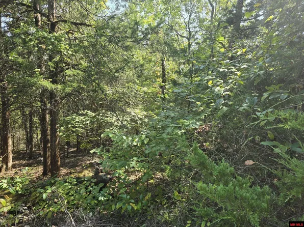 760-22353-000 Beltline Rd, Bull Shoals, AR 72619