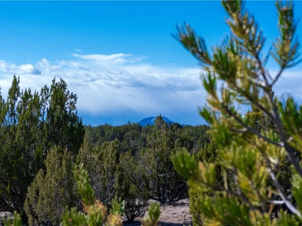 615 N Carson Trl, Seligman, AZ 86337