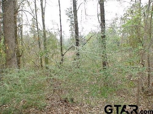 3rd image of Tbd Cr 2317