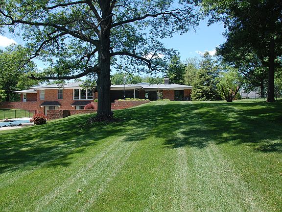 rear yard