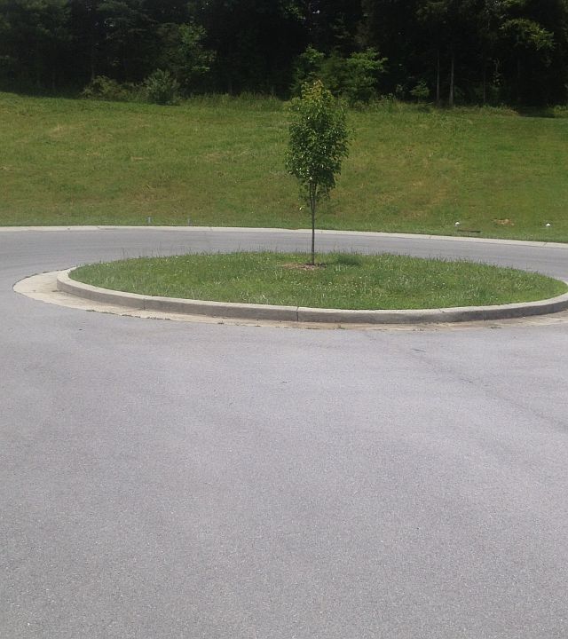 2nd image of 247 Bradford Ln
