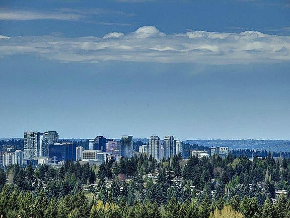 View of Bellevue to the North