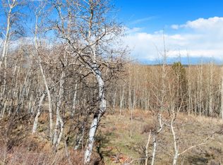 198 Lumber Jack Rd, Fairplay, CO 80440